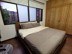 Botanic Gardens View (D10), Apartment #507722831